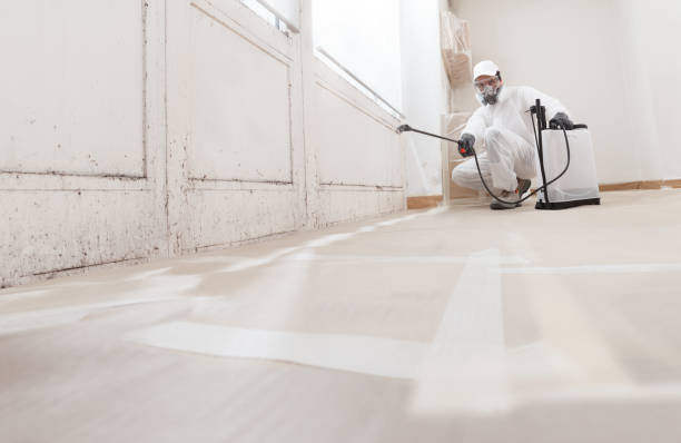 24/7 Emergency Mold Remediation experts in Irvona, PA