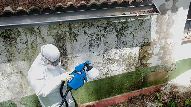 Top rated local Mold Remediation specialists in Irvona, PA
